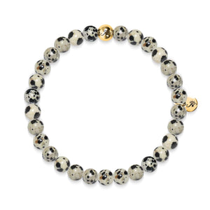 Healing | Gold Essence Dalmation Jasper Bracelet